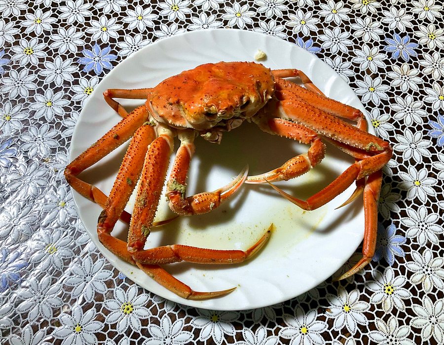 Live Crabs