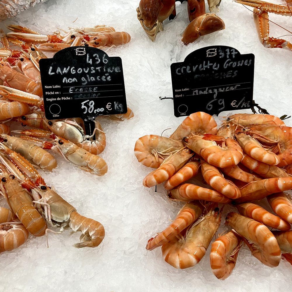 Carabineros Prawns