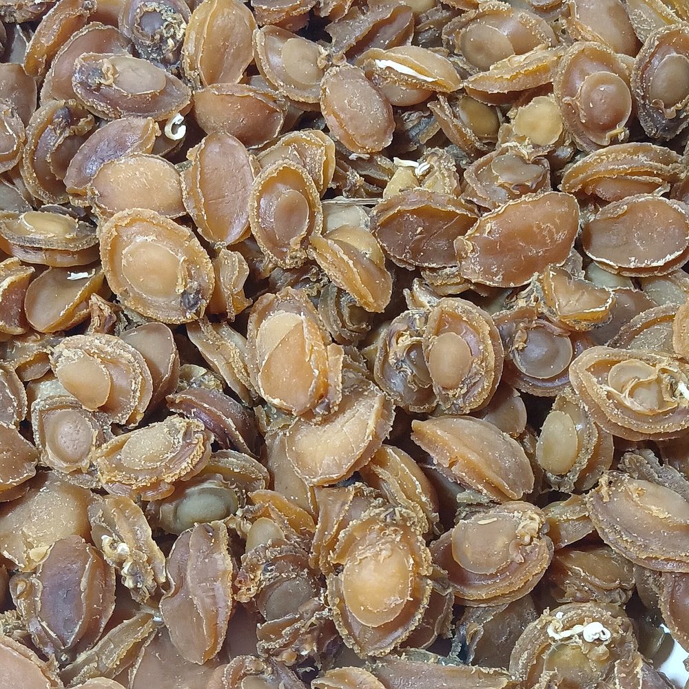 Dried Abalone