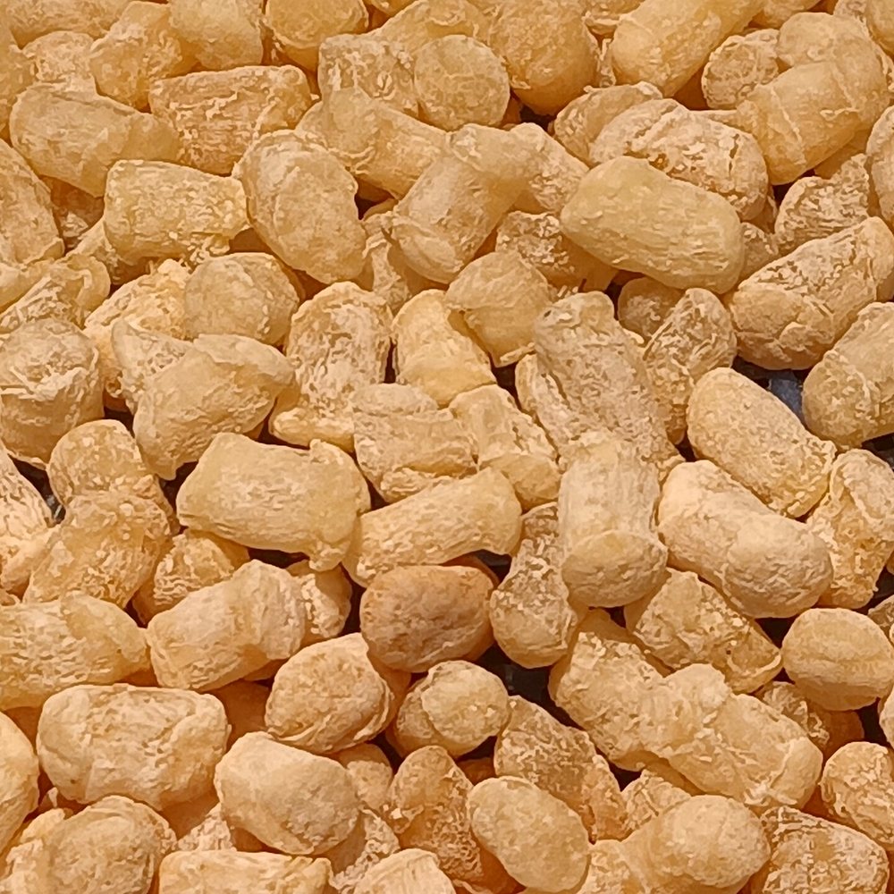 Dried Scallops