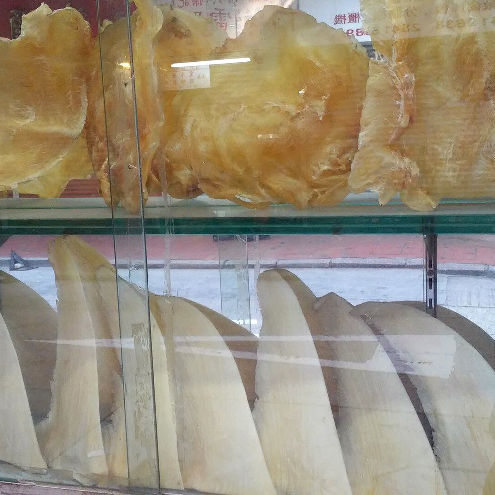 Dried Fish Maw