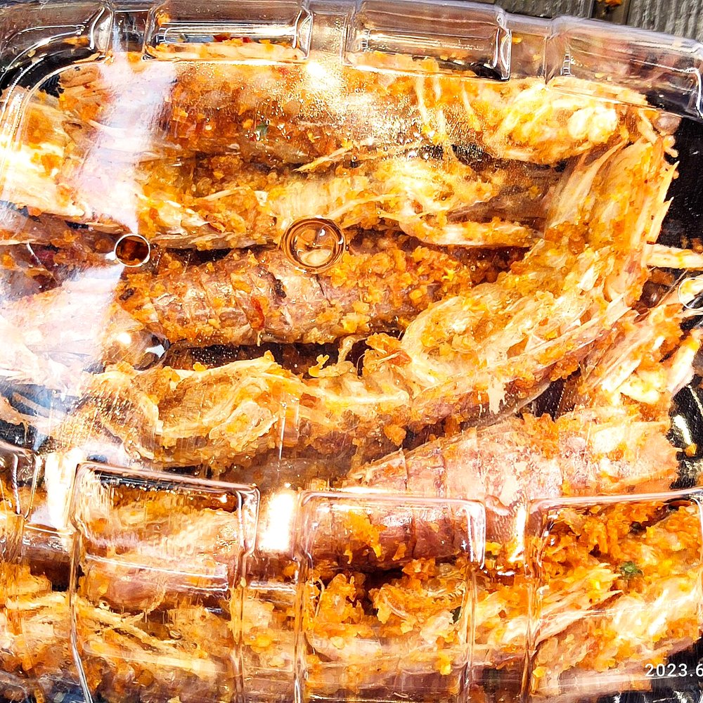 Live Mantis Shrimp