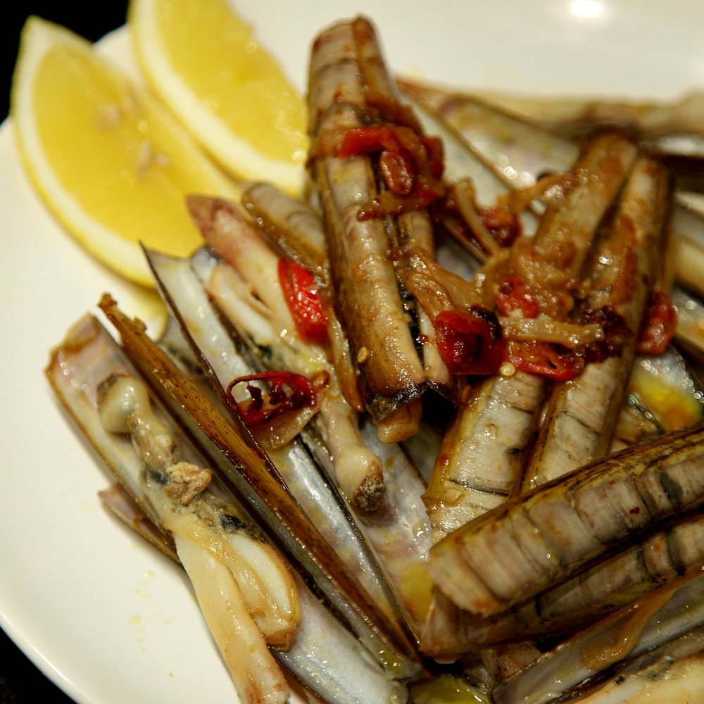 Live Razor Clams
