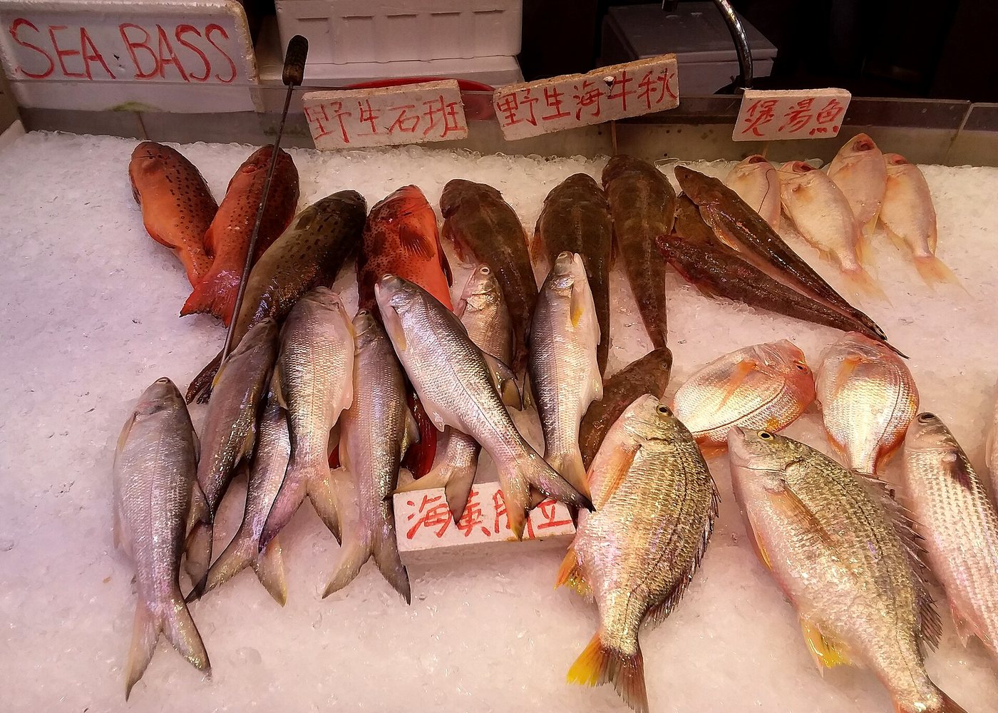 Fresh fish displayed at a Hong Kong wet market